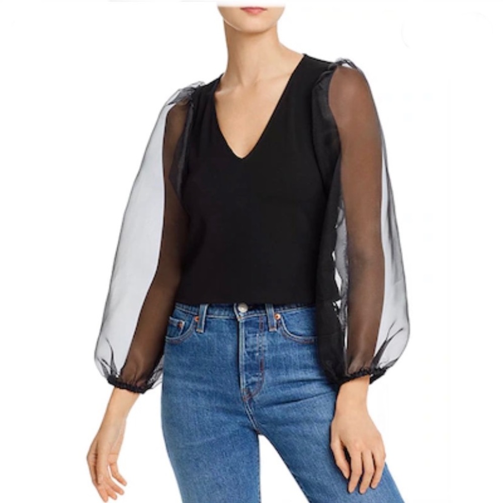Aqua Vneck Black Blouse w/ Organza Sleeves